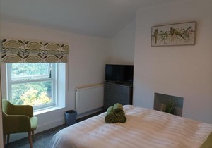 Victorian Renovation Room 5