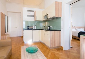 Vienna Residence, City Hall - Parliament #6410