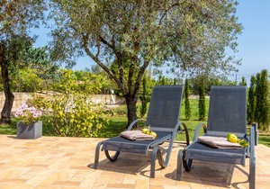 Villa Les oliveres petit