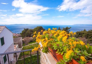 Villa Marta in Tucepi, private pool
