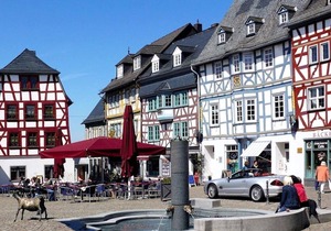 Villa Rosa - studio apartment Bad Camberg