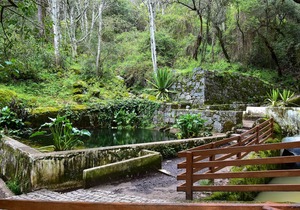 Villa Termal Monchique - Central Suites & Apartments by Unlock Hotels