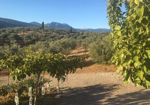 Villa with great views of see and country