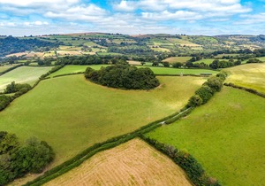 Weeke Brook - Quintessential thatched luxury Devon cottage