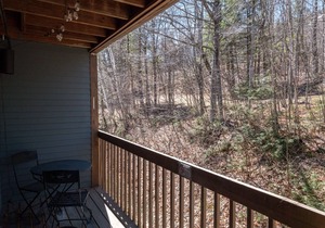 White Cap A-307 | 1 Bed, 1 Bath