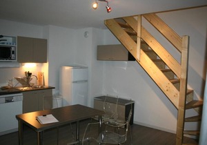 Wifi, 25m from resort center, terrace, parking, tv, ski locker, 45-50m², Chabanon-Selonnet