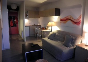 Wifi, 25m from resort center, terrace, parking, tv, ski locker, 45-50m², Chabanon-Selonnet