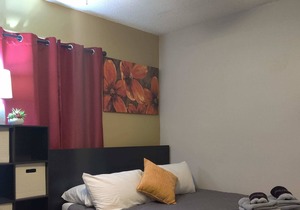 Willett 4 Adorable 1BR Apartment