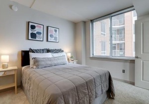 Wonderful 2BR Condo At Crystal City With Rooftop