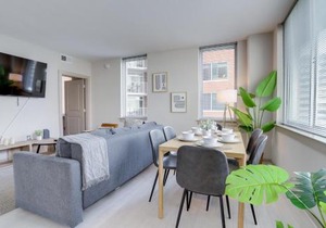 Wonderful 2BR Condo At Crystal City With Rooftop