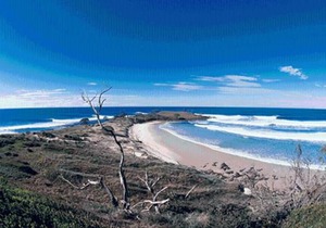 Yamba Central