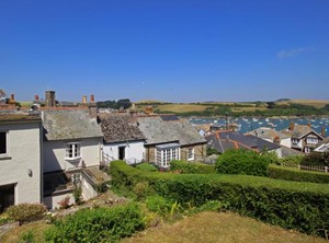 Robinsons | Salcombe