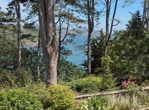 Ringrone | Salcombe
