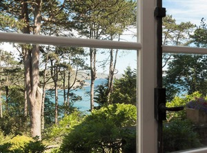 Ringrone | Salcombe