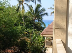 Royal Kahili | Kailua-Kona