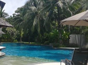 Garden | Cherngtalay