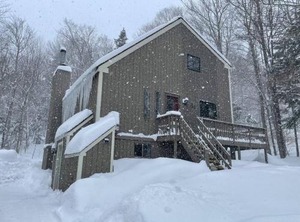 Mt Snow Ski Trail Shuttle Green Mountain | West Dover