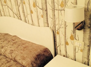 Camere Del Vascello | Carru