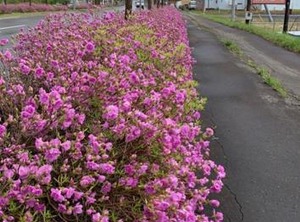 Abashiri Hotel Stay | Yobito