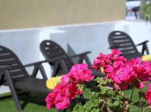 Albercutx Pollentia | Puerto de Pollensa