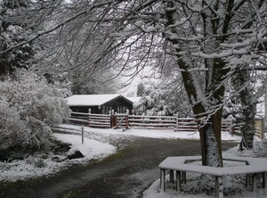 Llwynau Farm Pinelodges | Pontyclun