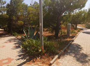 Beach Kustići Pag | Vidalici