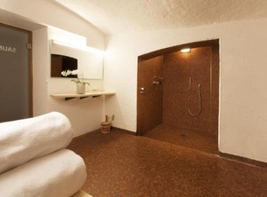 Appartements Steiner | Zell am See