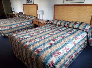 Apple Tree Inn | North Spokane