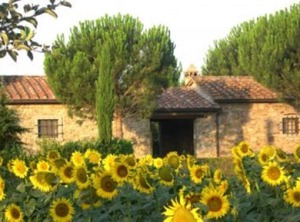 Cortona | Camucia