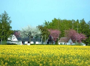 Atyp Ez U Pension | Ummanz
