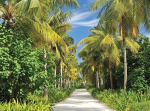 Ayada Maldives | Maguhdhuvaa