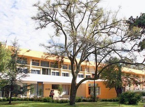 Resort | Colonia Chapadmalal