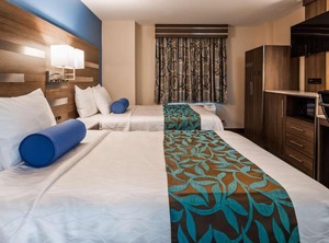 Comfort Inn Stadium | Highbridge