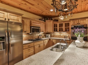 Elk The Cartecay | East Ellijay