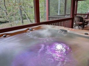 Elk The Cartecay | East Ellijay