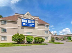 Bear Inn Conference | Orono