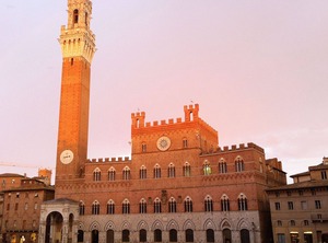 Piazza Del Campo | Siena City Centre