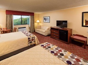 Chestnut Mountain Resort | Galena