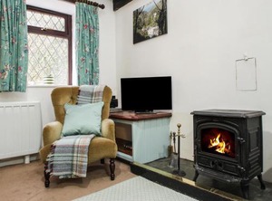 Coachman | Tintagel