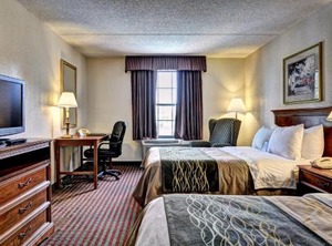 Hampton Inn News | Central Newport News