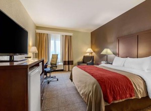 Comfort Inn | Warren