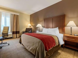 Comfort Inn | Warren