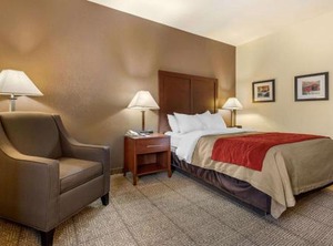 Comfort Inn | Warren