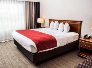 Country Inn | Winchester