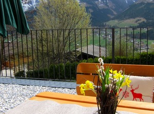 Chalet Sonnberg | Niedernsill