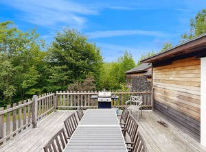 Birch Tree Lane Bar Harbor | Bar Harbor