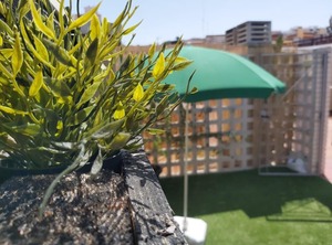 Del Parque Flats | El Molinillo
