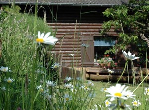 Haus Diefenbach Pension Heimbach | Hasenfeld