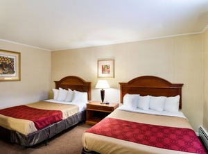 Econo Lodge Inn | Northborough