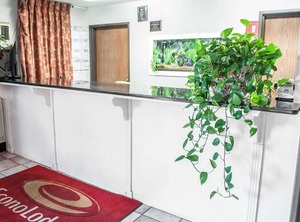 Econo Lodge Las Cruces University | Mesilla Park